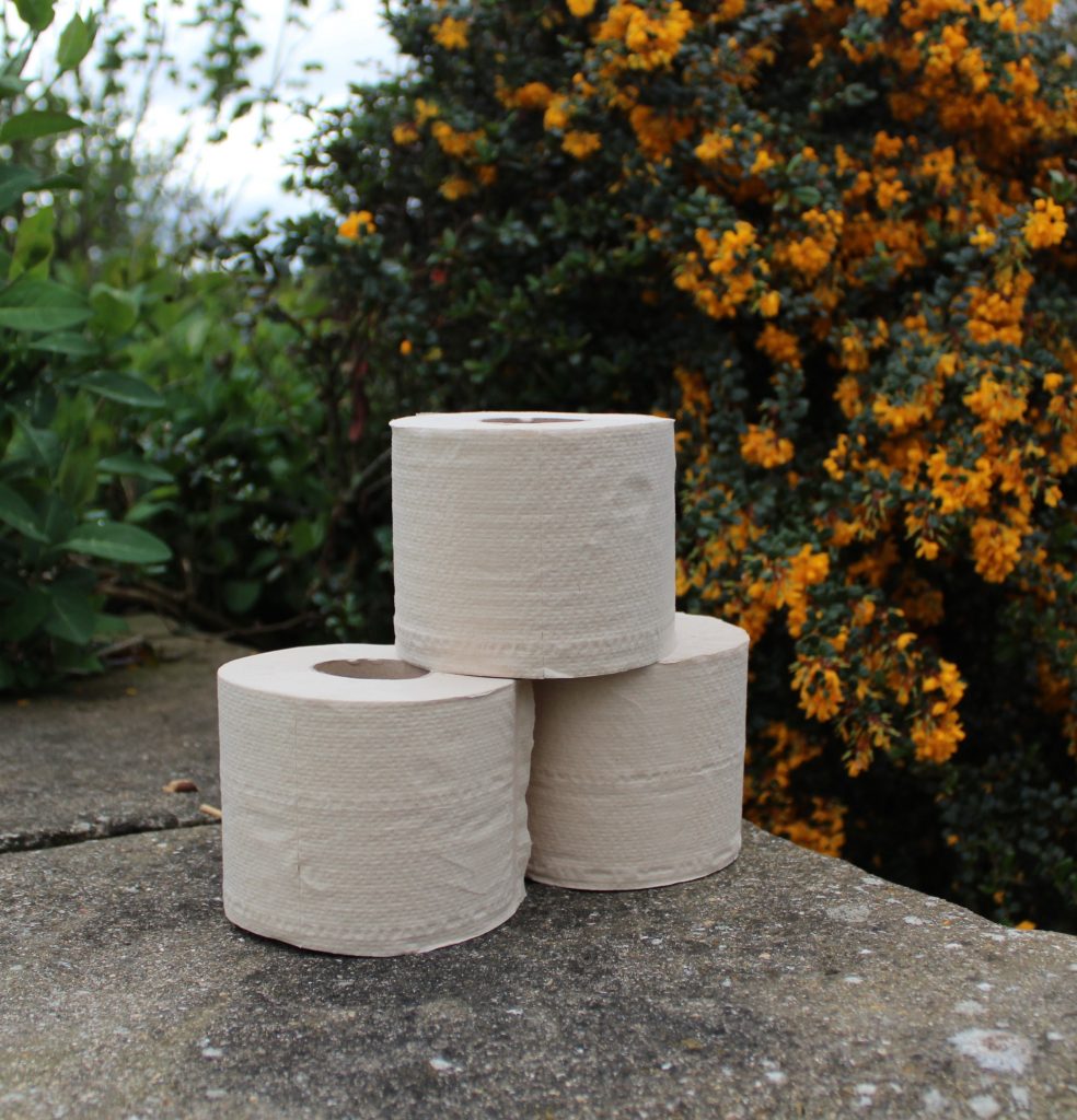 Loo rolls on a garden wall at Burnbrae Holidays