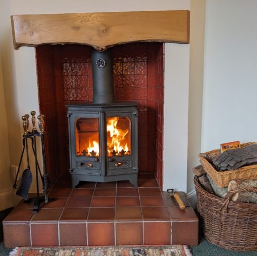 Wood burning stove in our dog-friendly cottage. We supply plenty of home grown & dried wood.