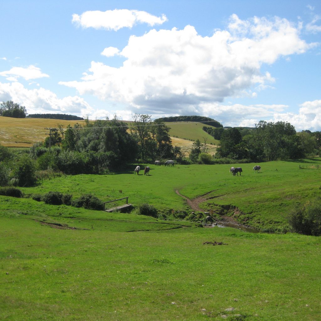 Come and wander in our fields