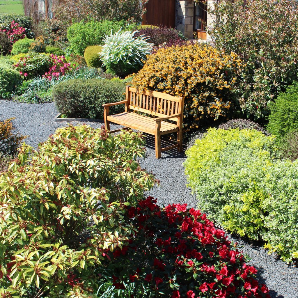 Burnbrae cottage garden with bench amongst bushes and flowers