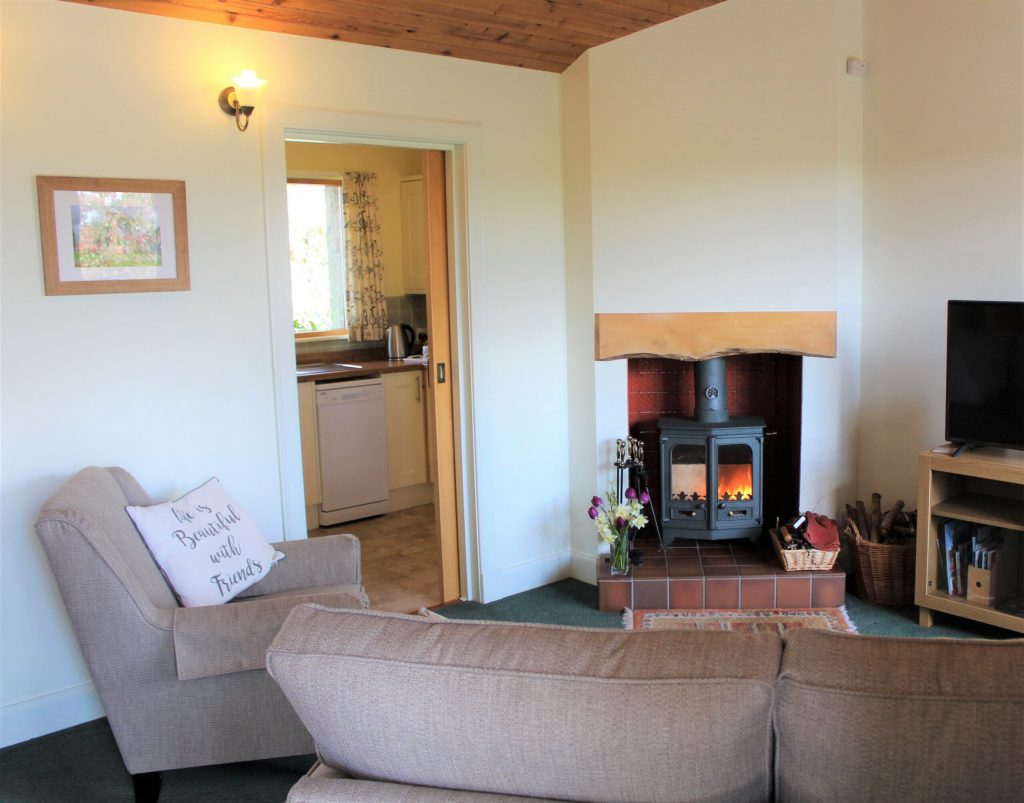The living room in Mungo's Well with a view of the fireplace.
