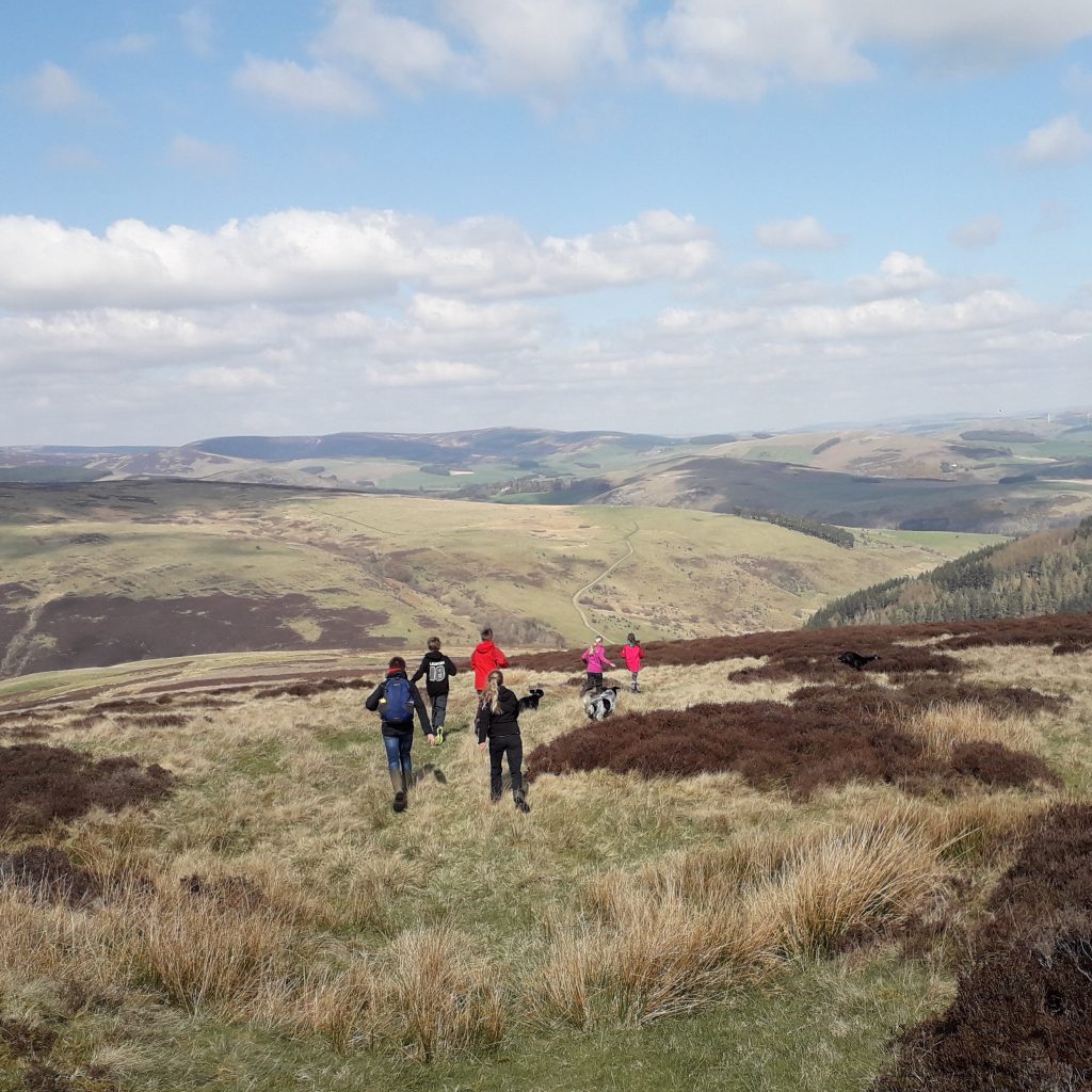 Walking in the hills near Kelso