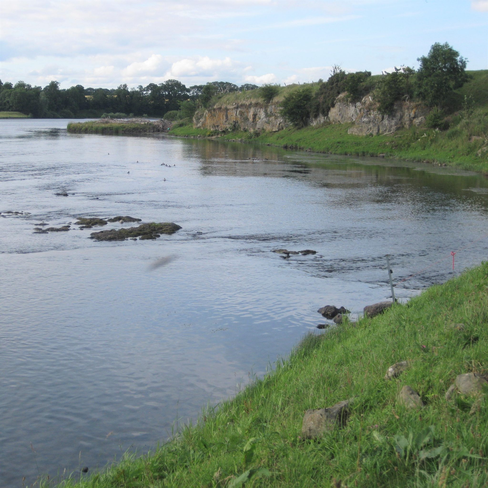 Things to do in Kelso Burnbrae Holidays